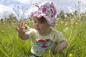 a child in the meadow of flowers