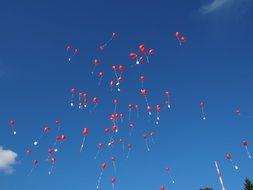 Lots of balloons against the sky