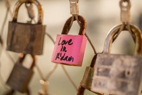 pink padlock on the bridge in rotterdam