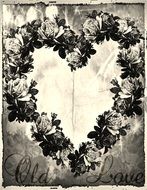 frame roses heart drawing