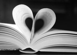 two book pages wrapped in a heart shape