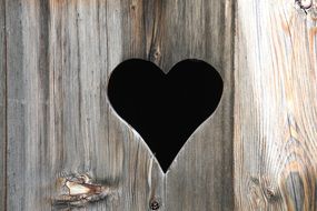 heart like a small hole in a wooden door