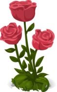 Three Pink roses as an illustration