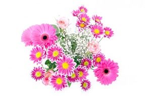 clipart of pink garden flowers on a white background