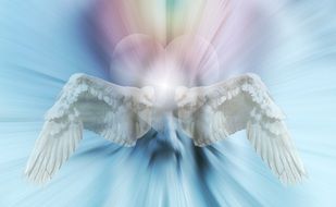 angel wings on a blue background