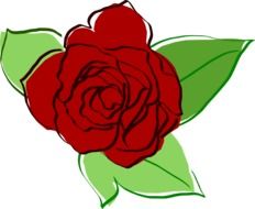 Red rose clipart