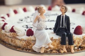 figures of bride and groom on a wedding cake