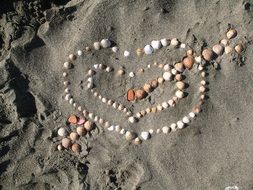 shape of a heart on the sand