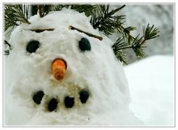 funny smiling snow man with the carrot