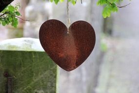 heart form decoration hanging on branch