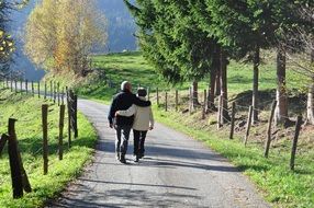 love pair nature