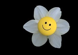 blossoming flower smiley