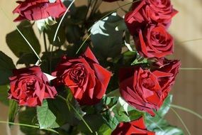 bouquet of red roses in a vase