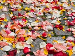 rose petals wedding