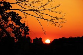 sunset over the forest in korea republic