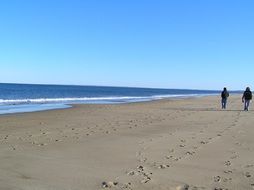 Beach in winter