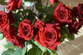 romantic bouquet of red roses