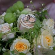 wedding roses with rings