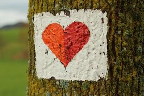 red heart symbol painted on tree