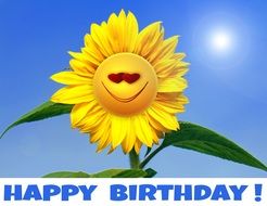 A funny sun flower with the inscription "happy birthday!"