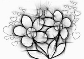 flowers pencil drawing