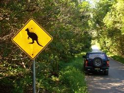 australia kangaroo sign