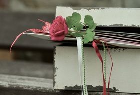 Rose in the mailbox