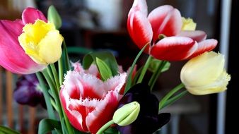 a bouquet of different color tulips