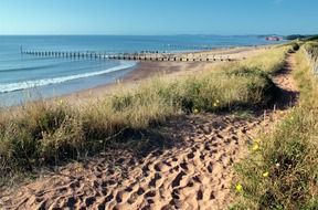 Landscape of sand beach near ocean