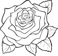 uncolored rose drawing