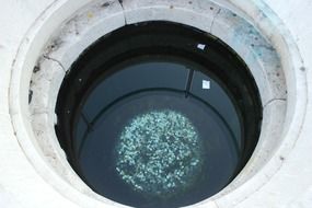 coins in well