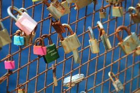 love locks on a rusty grid in the bright sun