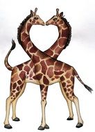 giraffe heart drawing