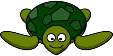 turtle happy animal drawing