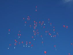 balloons in the blue sky