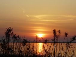 golden sunrise on the horizon above the lake