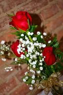 wonderful fresh roses flower