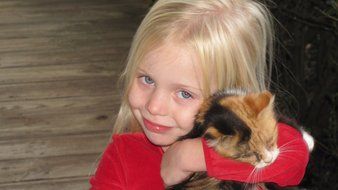 Blonde girl child with the cute colorful cat on her hands