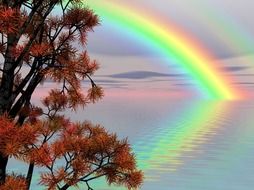 rainbow over the ocean