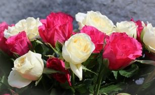 roses for federal holiday