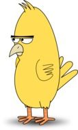 bird angry drawing