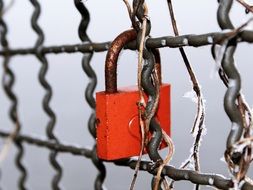 Red padlock on a fence