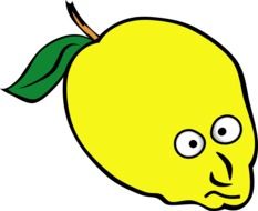 face lemon fruit as a drawing