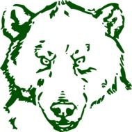 bear face green drawing