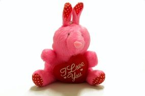 plush rabbit with heart