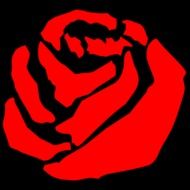 red rose graphic drawing
