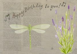 birthday card with dragonfly and flowers