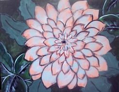 painting dahlia pink drawing