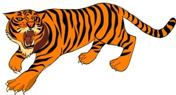 angry tiger as a graphic image