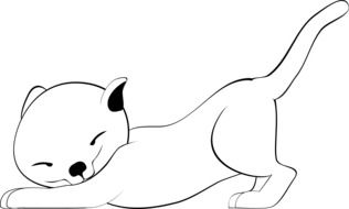 drawing of a cute kitten on a white background